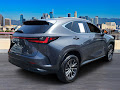 2024 Lexus NX NX 250 Premium