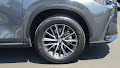 2024 Lexus NX NX 250 Premium