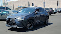 2024 Lexus NX NX 250 Premium