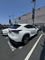 2021 Lexus NX NX 300